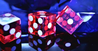 Jak umělá inteligence mění prostředí online kasin