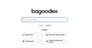 Bagoodex: Pokročilý vyhledávač a chatovací platforma