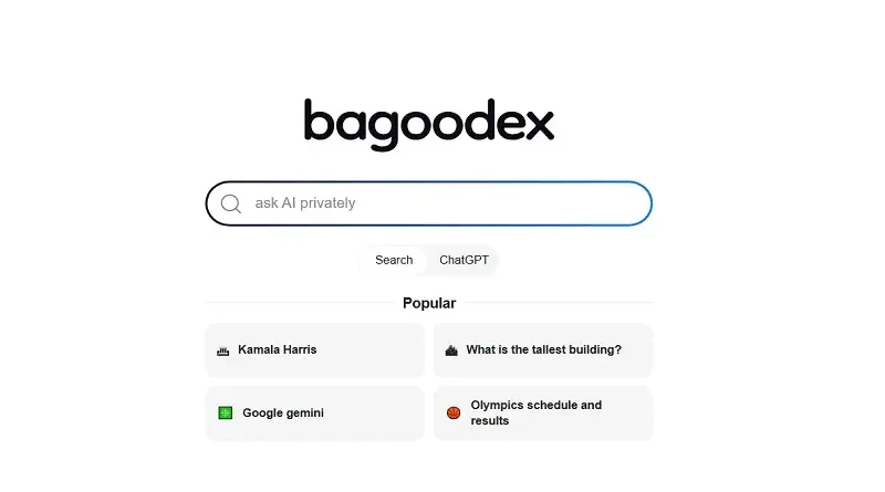 Bagoodex: Pokročilý vyhledávač a chatovací platforma